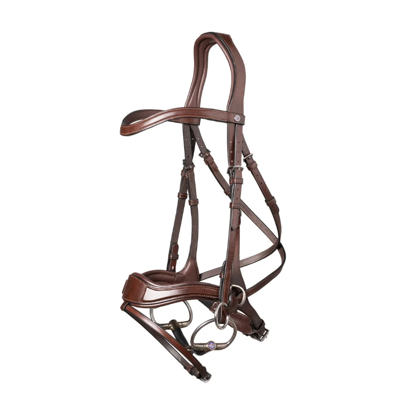 Bridle anatomic combined noseband Falsterbo
