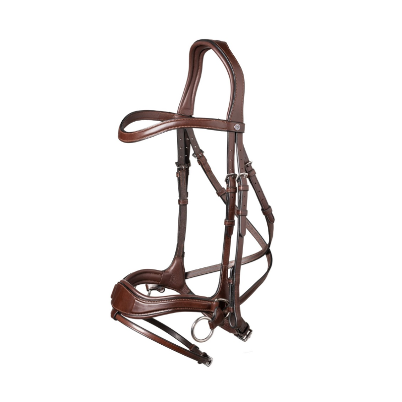 Bridle anatomic combined noseband Falsterbo