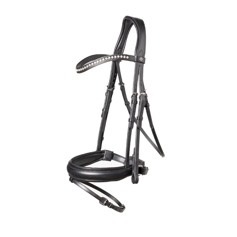 Large Crank Noseband Bridle Verden
