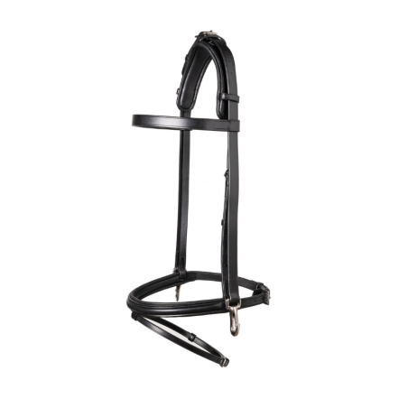 Training bridle combined noseband Hamburg