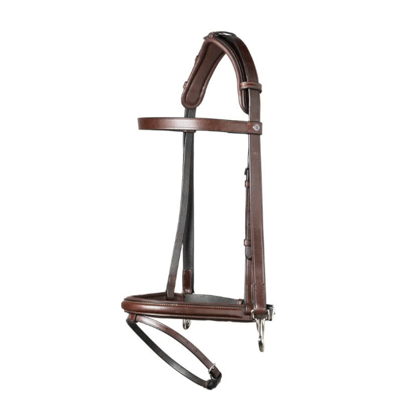 Training bridle combined noseband Hamburg