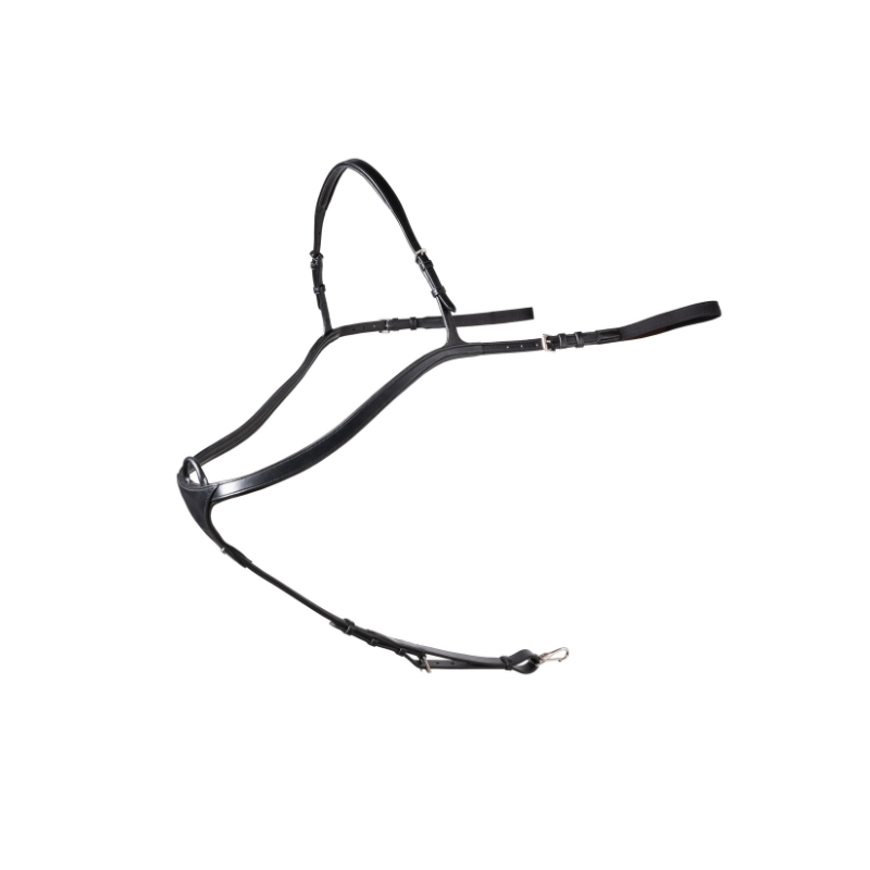 Lyon Long bridge breastplate