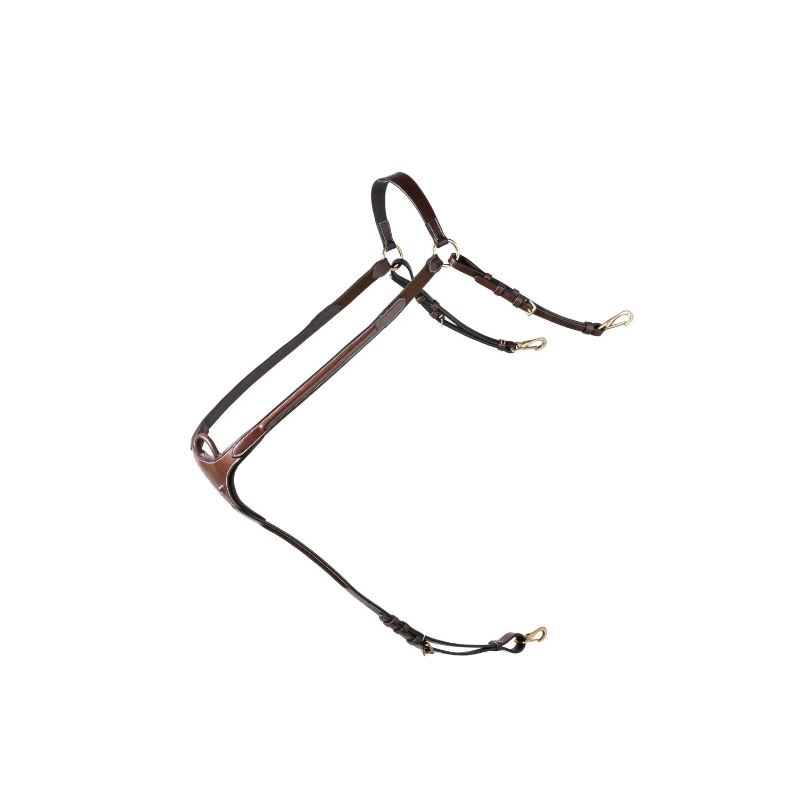 Collier de chasse Brussels