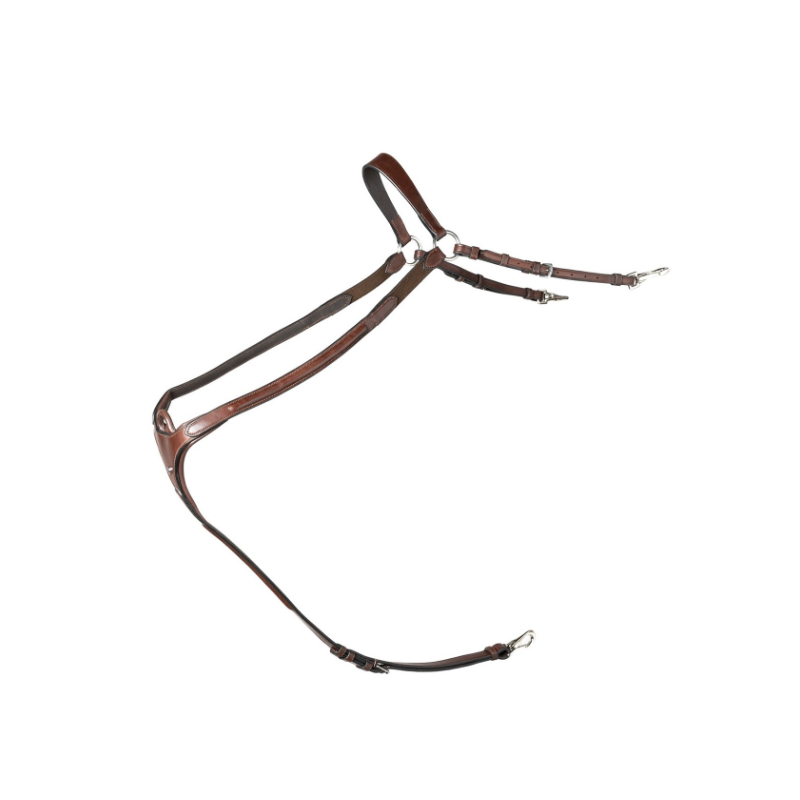 Collier de chasse Brussels