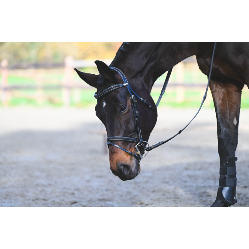 Carat Premium Bridle - One