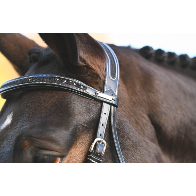 Carat Premium Bridle - One