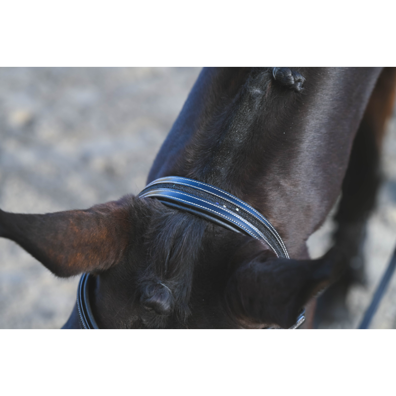 Carat Premium Bridle - One