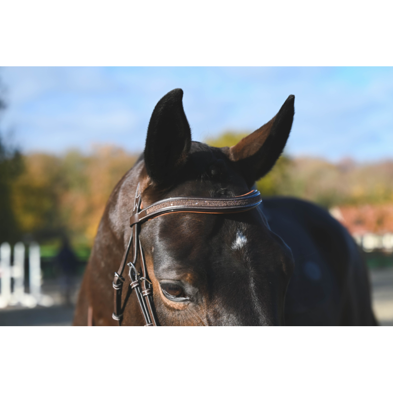 Carat Premium Bridle - One