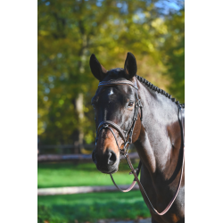 Carat Premium Bridle - One