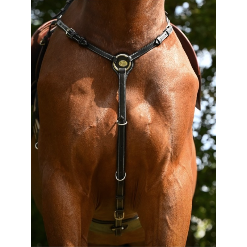 Monday Breastplate - Week