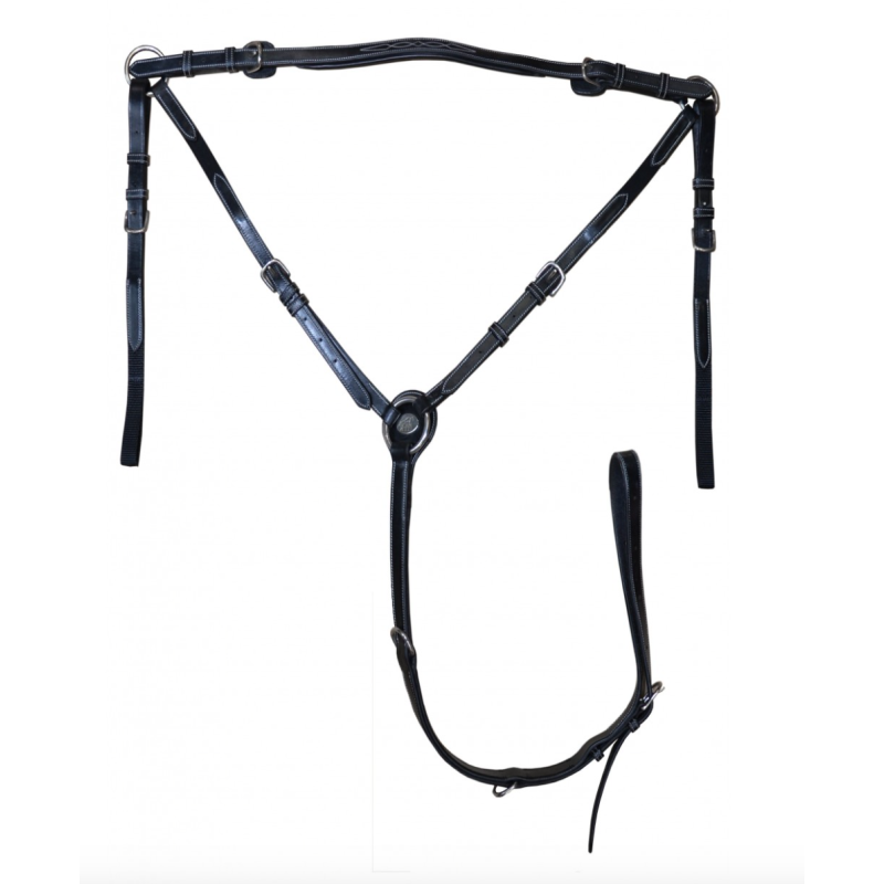 Monday Breastplate - Week