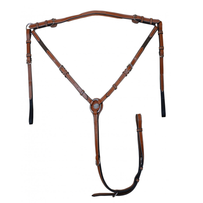 Monday Breastplate - Week