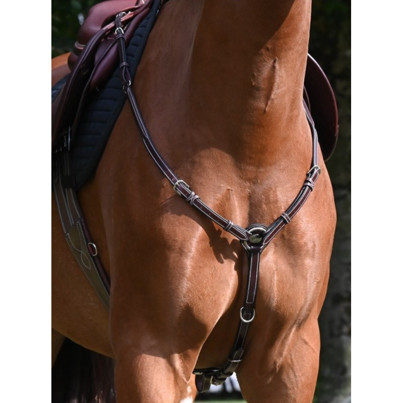 Tuesday Breastplate - Week