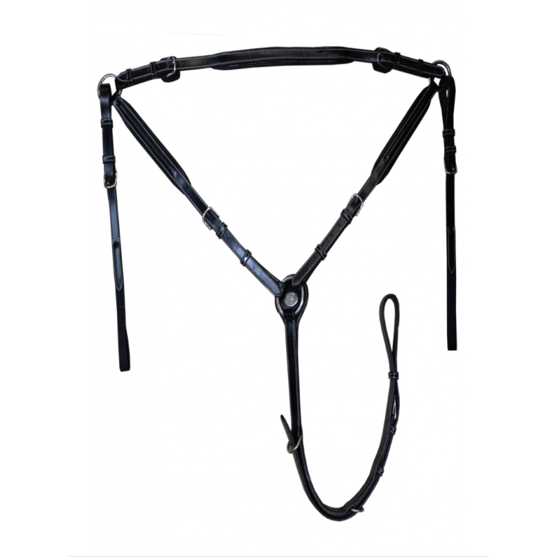 Wednesday Breastplate - Week