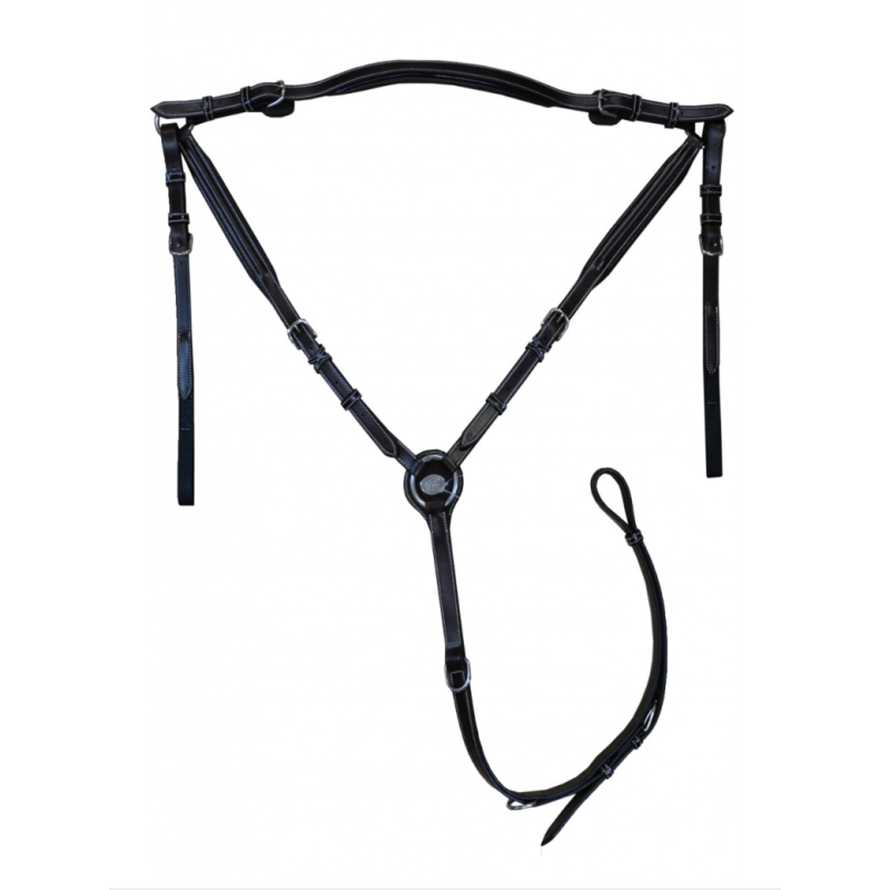 Wednesday Breastplate - Week