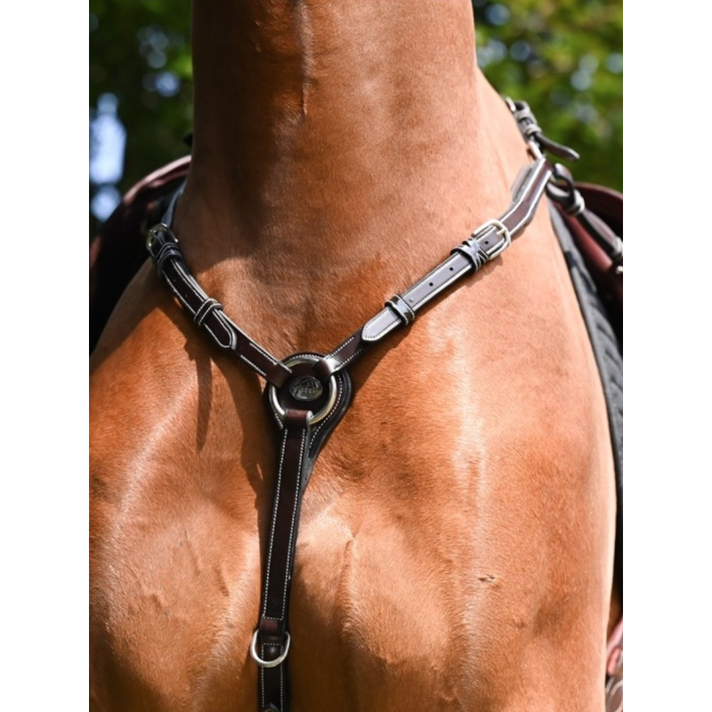 Wednesday Breastplate - Week