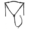 Crystal Breastplate - Week
