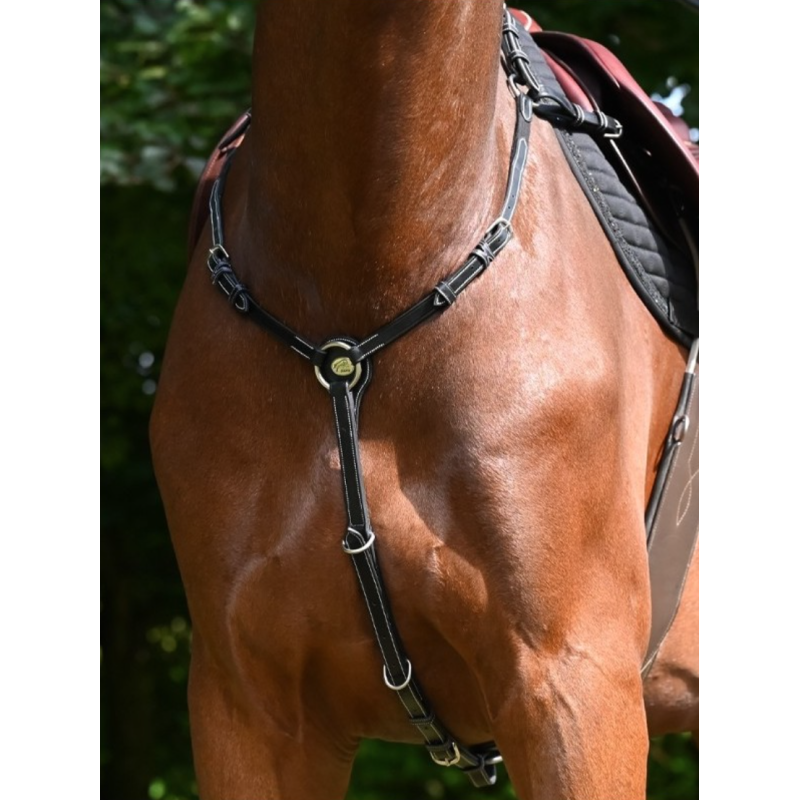 Crystal Breastplate - Week