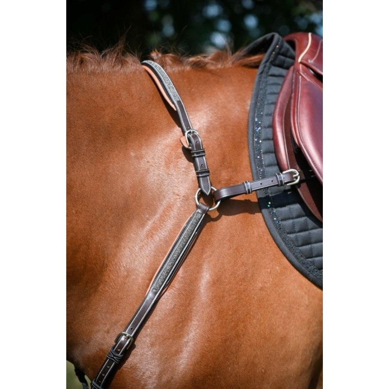 Crystal Breastplate - Week