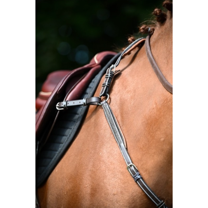 Crystal Breastplate - Week