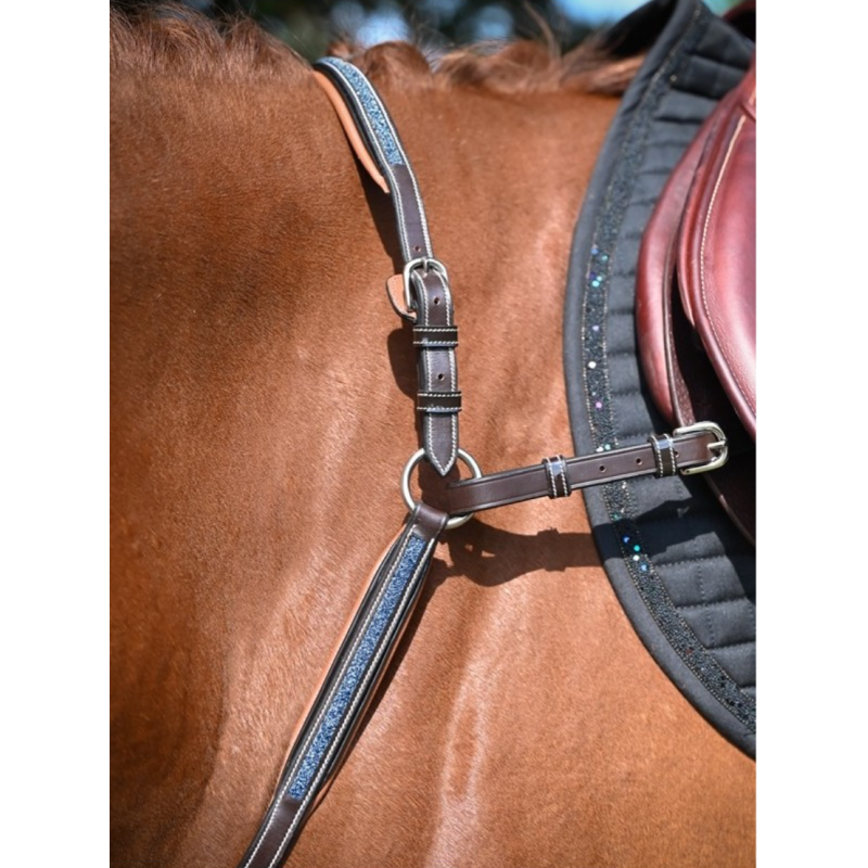 Crystal Breastplate - Week