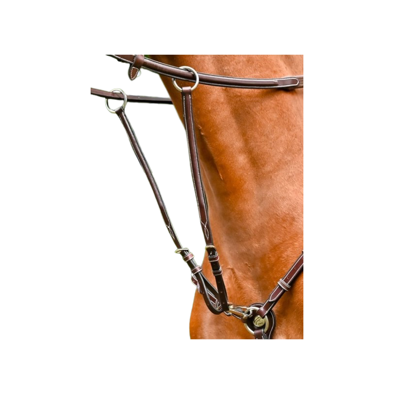 Martingale for Monday and Tuesday breastplate - Week