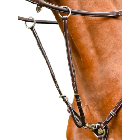 Martingale de Collier Monday et Tuesday - Week