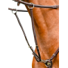 Martingale de Collier Monday et Tuesday - Week