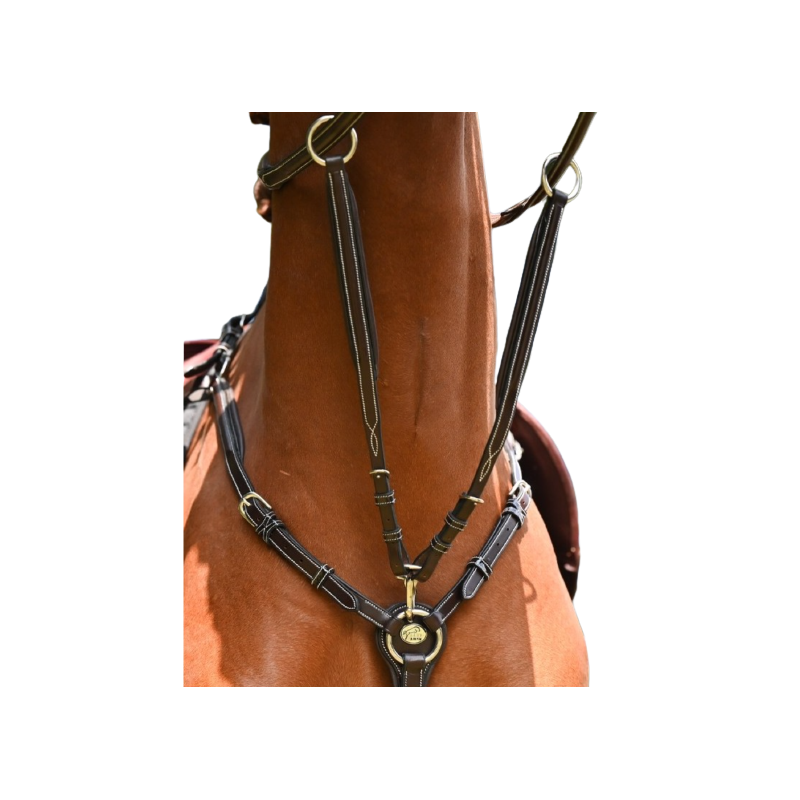 Martingale for Wednesday and Crystal breastplate - Week