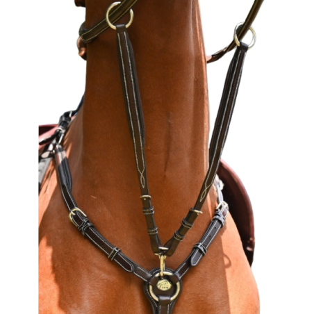 Martingale for Wednesday and Crystal breastplate - Week