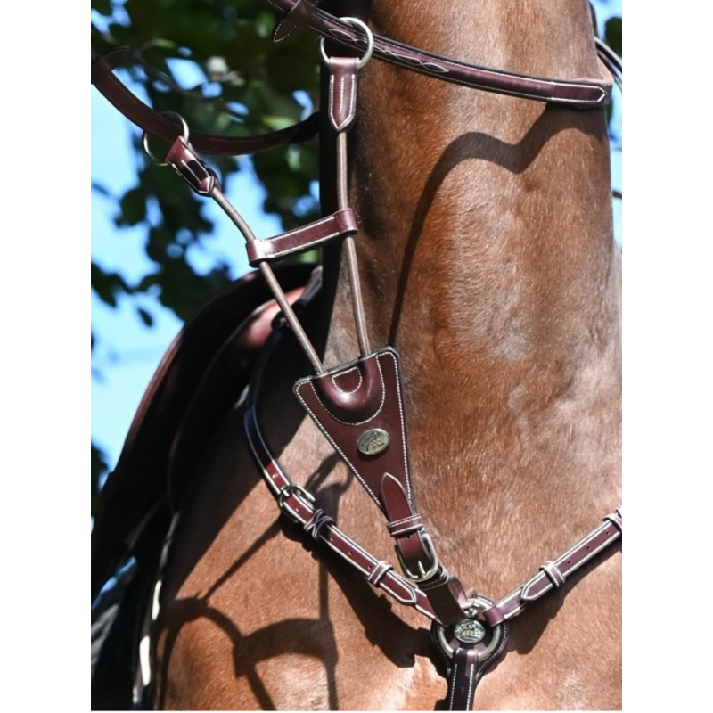 Elastic Martingale for breastplate - Week