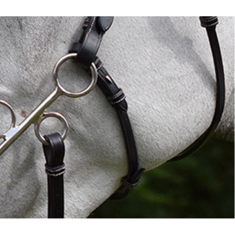 Hackamore Cheek Pieces and Strap - Week
