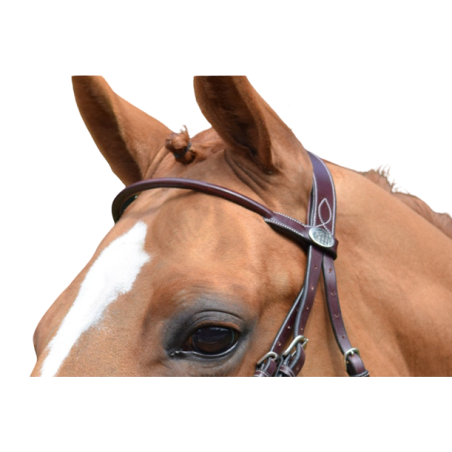Monday Browband - Week