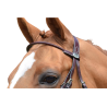 Monday Browband - Week