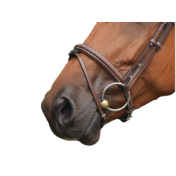 Paris Noseband - One