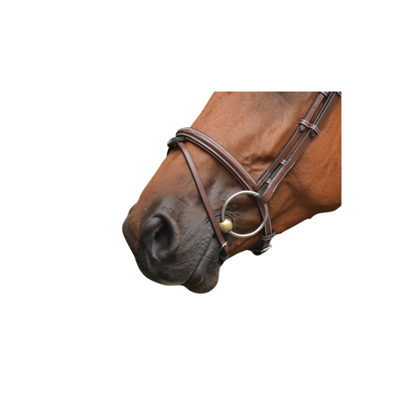 Paris Noseband - One