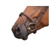 Paris Noseband - One