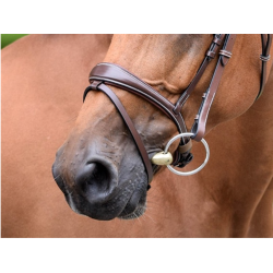 Bruxelles Noseband - One