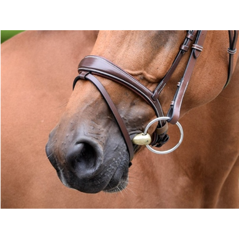 Bruxelles Noseband