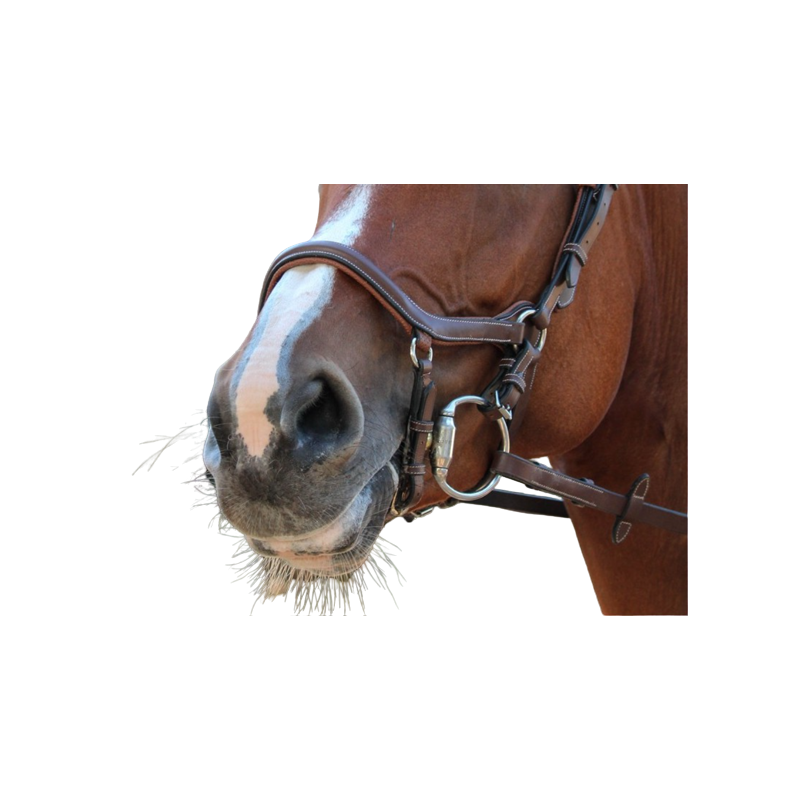 New York Noseband - One