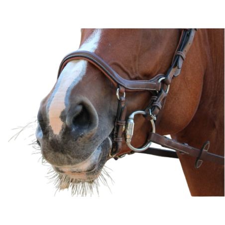 New York Noseband - One