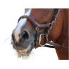 New York Noseband - One