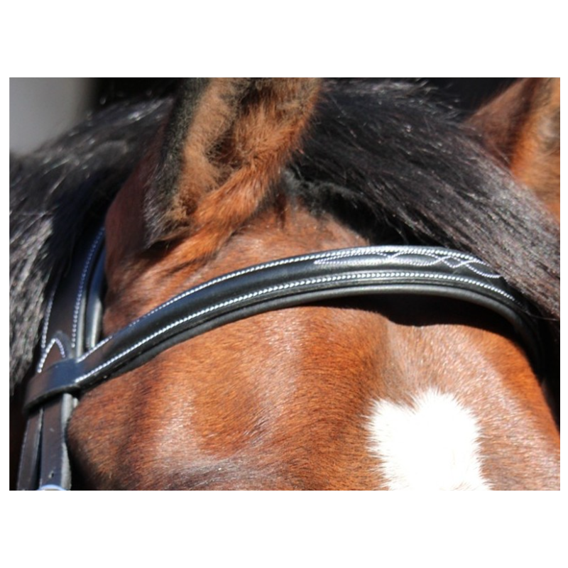 Paris Browband - One