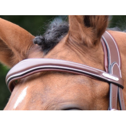 Bruxelles Browband - One