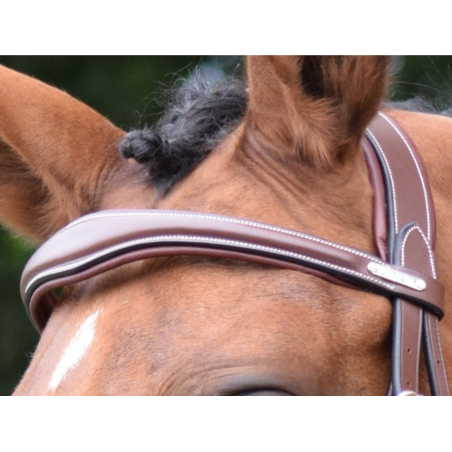 Bruxelles Browband