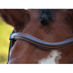 New York Browband - One