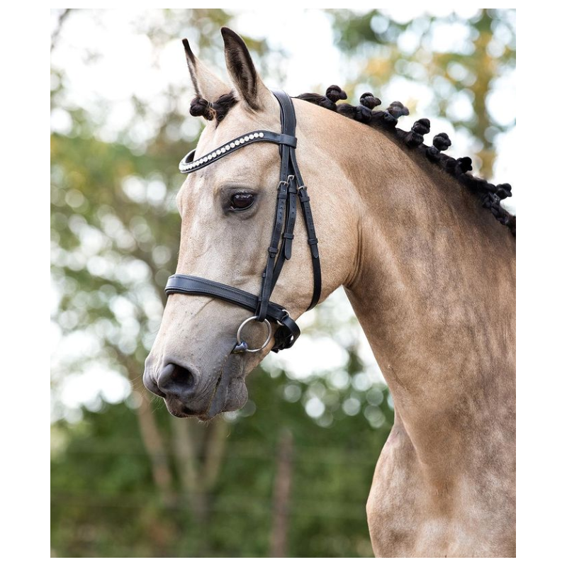 Weymouth Noseband model S4 - Bridle 2 fit