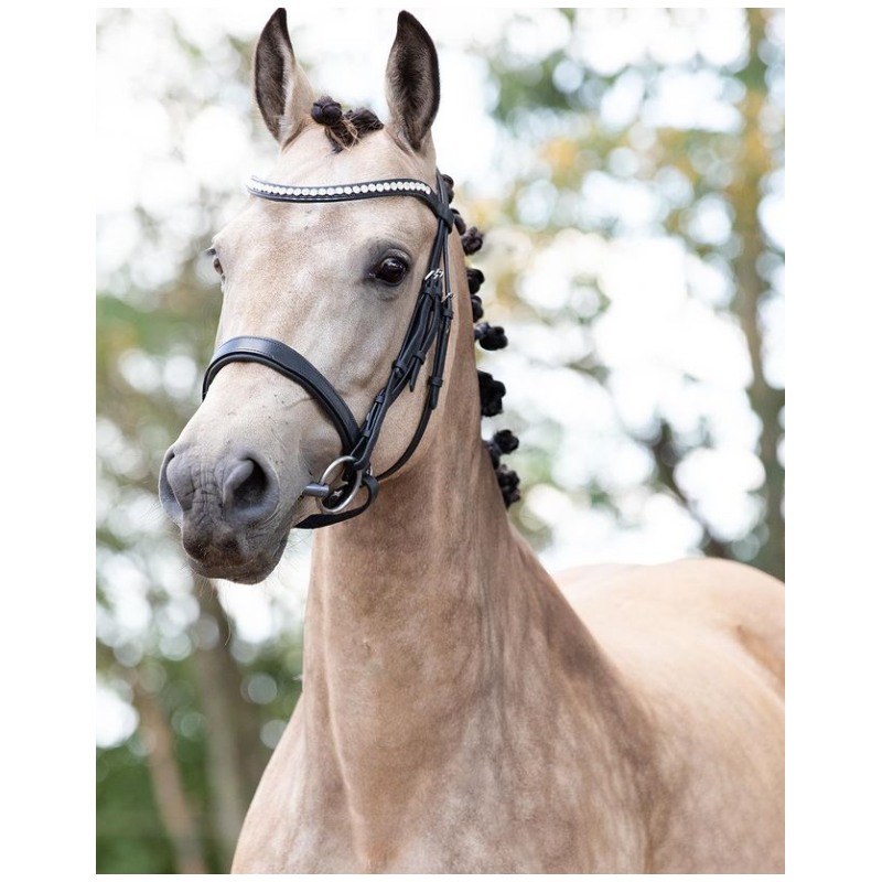 Muserolle S4 Dressage - Bridle 2 fit