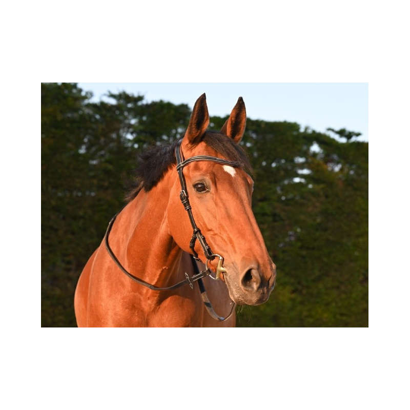 Liberty Bridle - One Collection