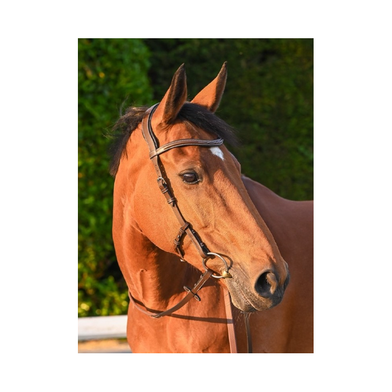 Liberty Bridle - One Collection